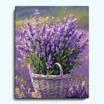 Lavender