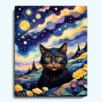 Black cat under the starry sky