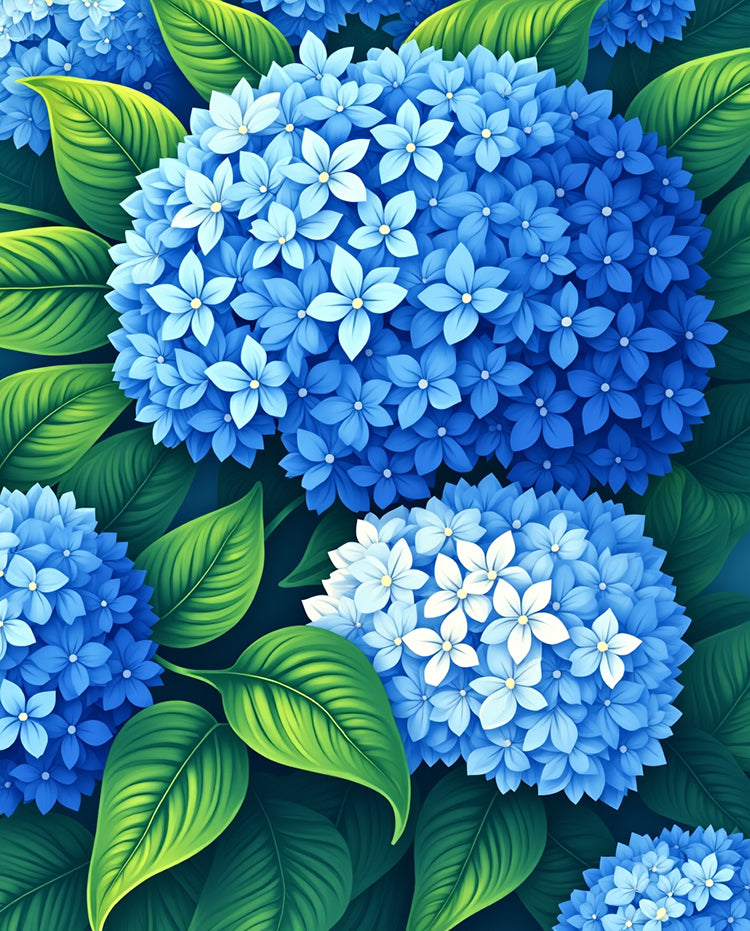 Clustered Hydrangeas