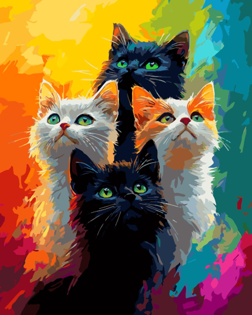 Colored cats