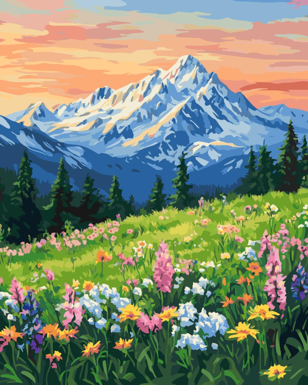 Mountaintop wildflowers