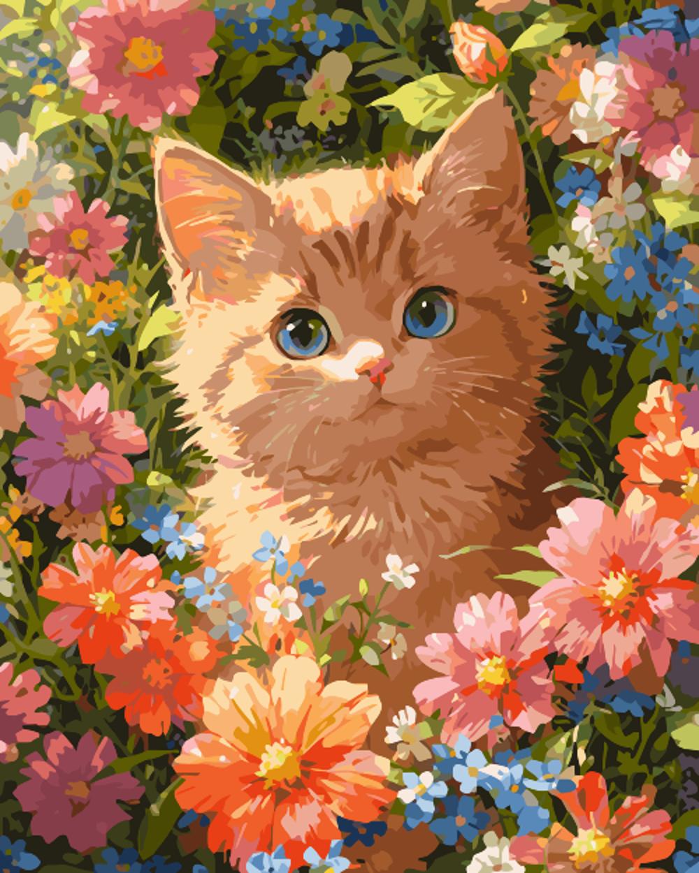 Orange tabby kitten