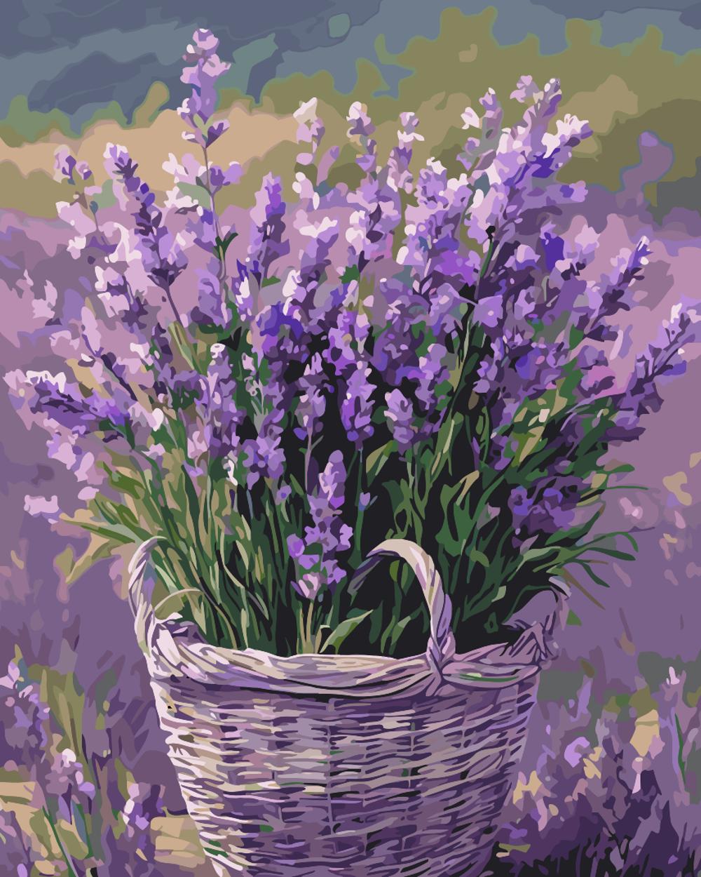 Lavender