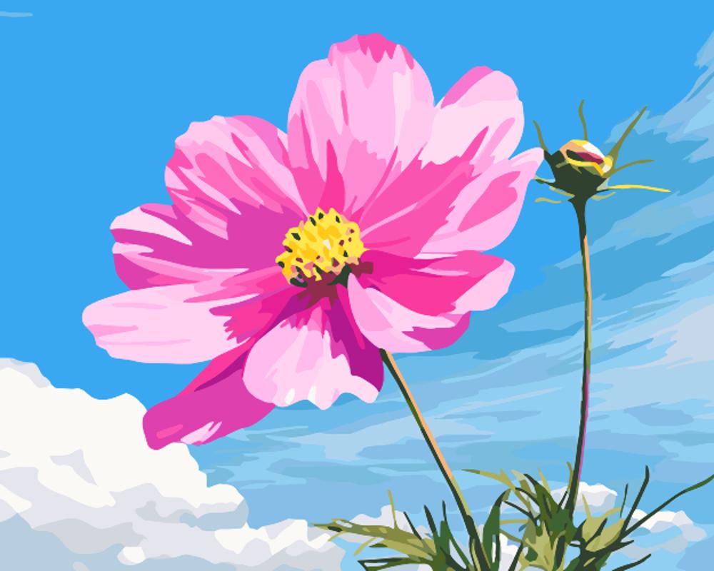 Blue sky and flowers