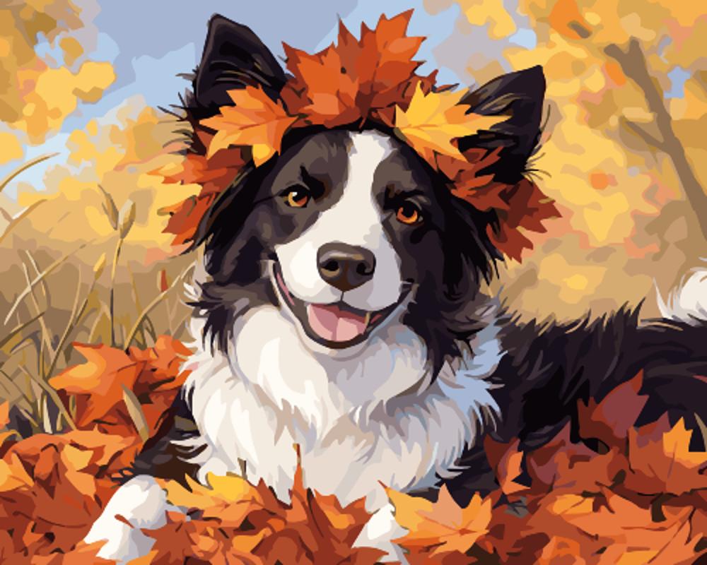 Fallen Leaves and Dog